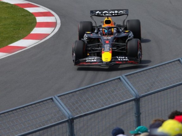 Formula 1's governing body has suspended a driver steward for this weekend's Canadian Grand Prix